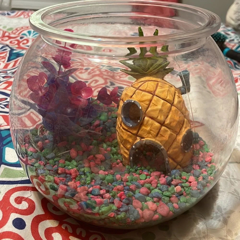 I’m am selling a small aquarium with a PLASTIC plant and a SpongeBob pineapple